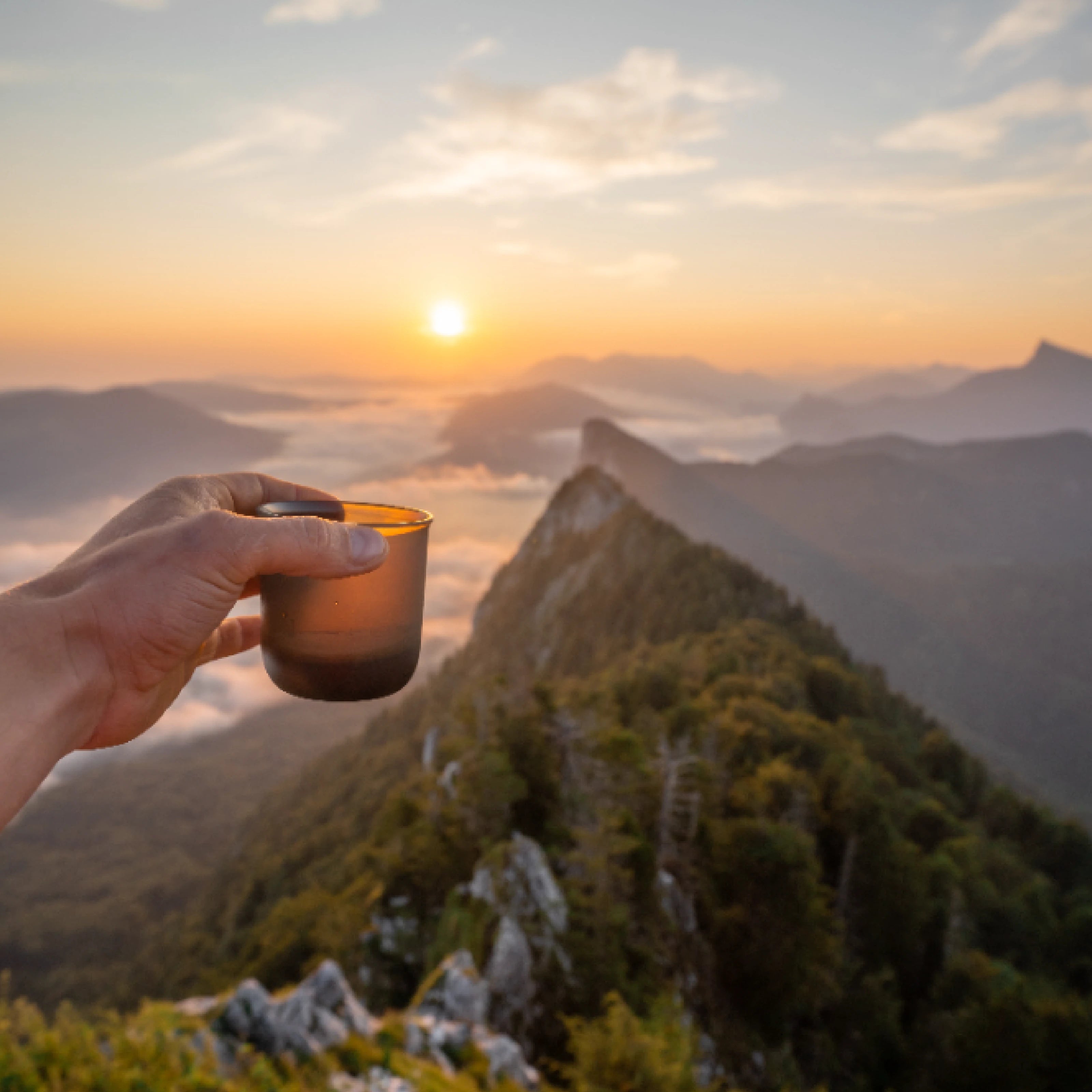 Enjoying Nature's Brew